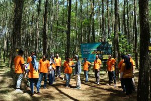 Program fun games outbound di Puncak Pinus Becici